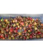 Litchi Tomato AKA Morelle de Balbis 