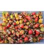 Litchi Tomato AKA Morelle de Balbis 