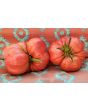 Tomato 'Bear Claw' Seeds (Certified Organic)