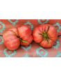 Tomato 'Bear Claw' Seeds (Certified Organic)