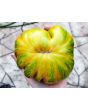 Tomato 'Summer of Love' Seeds (Certified Organic)