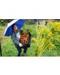 Eggplant 'Pumpkin on a Stick'