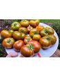 Tomato 'Spud Viper' Seeds (Certified Organic)