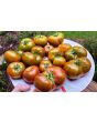 Tomato 'Spud Viper' Seeds (Certified Organic)