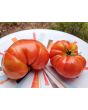 Tomato 'Strawberry Leopard' Seeds (Certified Organic)
