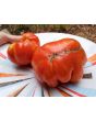 Tomato 'Strawberry Leopard' Seeds (Certified Organic)
