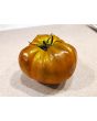 Tomato 'Everett's Rusty Brown' Seeds (Certified Organic)