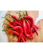 Hot Pepper ‘Goat Horn’ Seeds (Certified Organic)