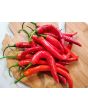 Hot Pepper ‘Goat Horn’ Seeds (Certified Organic)