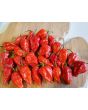 Hot Pepper 'Red Devil's Tongue' 