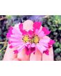 Cosmos 'Seashells' Seeds (Certified Organic)