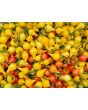 Hot Pepper ‘Biquinho Yellow’ Seeds (Certified Organic)