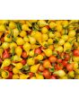 Hot Pepper ‘Biquinho’ 