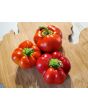 Hot Pepper ‘Hussli Tomato Pepper’ Seeds (Certified Organic)
