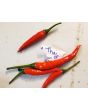 Hot Pepper ‘Red Thai’ Seeds (Certified Organic)