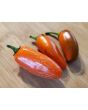 Hot Pepper ‘Orange Spice Jalapeno’ Seeds (Certified Organic)