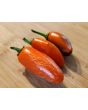 Hot Pepper ‘Orange Spice Jalapeno’ Seeds (Certified Organic)