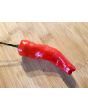 Hot Pepper ‘Tunisian Baklouti’ Seeds (Certified Organic)