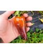 Sweet Pepper ‘Violet Sparkle' Seeds (Certified Organic)