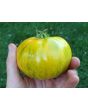 Tomato 'Lava Flow' Seeds (Certified Organic)