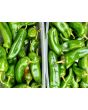 Hot Pepper 'Anaheim' 