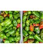 Hot Pepper ‘Pimiento de Padron’ Seeds (Certified Organic)