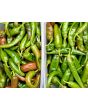Hot Pepper 'Guajillo' Seeds (Certified Organic)