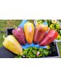 Sweet Pepper ‘Violet Sparkle' Seeds (Certified Organic)