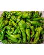 Hot Pepper ‘Hangjiao (HJ8) Total Eclipse Space Chili’ Seeds (Certified Organic)