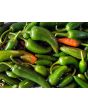 Hot Pepper ‘Orange Thai’ Seeds (Certified Organic)