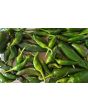 Hot Pepper ‘Fresno’ 