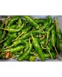 Hot Pepper ‘Tunisian Baklouti’ Seeds (Certified Organic)