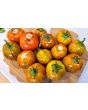 Eggplant ‘Turkish Orange’