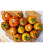 Eggplant ‘Turkish Orange’