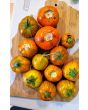 Eggplant ‘Turkish Orange’