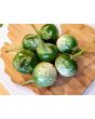 Eggplant ‘Lao Green Stripe’ Seeds (Certified Organic)