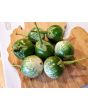Eggplant ‘Lao Green Stripe’ Seeds (Certified Organic)