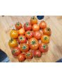 Tomato 'Isis Candy'