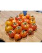 Tomato 'Isis Candy'