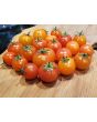 Tomato 'Isis Candy'