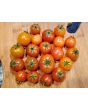Tomato 'Isis Candy'