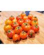 Tomato 'Isis Candy'