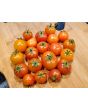 Tomato 'Isis Candy'