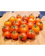Tomato 'Isis Candy'