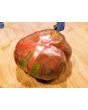 Tomato 'Everett's Rusty' Seeds (Certified Organic)