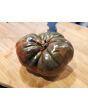 Tomato 'Everett's Rusty' Seeds (Certified Organic)