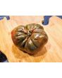 Tomato 'Everett's Rusty' Seeds (Certified Organic)