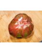 Tomato 'Everett's Rusty' Seeds (Certified Organic)