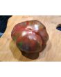 Tomato 'Everett's Rusty' Seeds (Certified Organic)