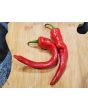 Hot Pepper ‘Hot Portugal’ 